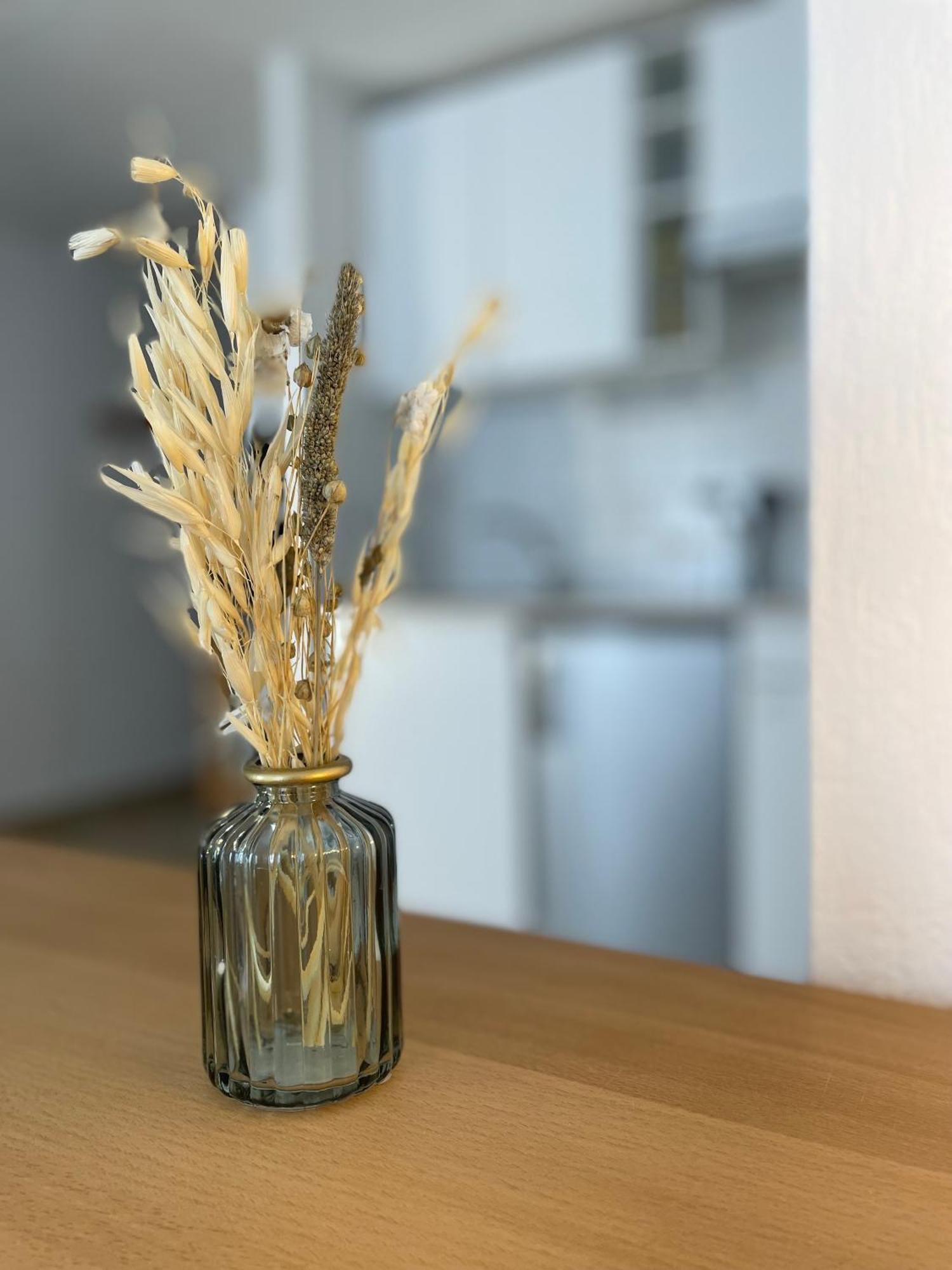 Spacieux Studio « Boheme » Digne-les-Bains Exteriér fotografie